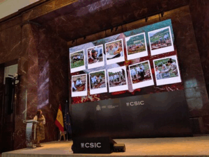 PXL_20250627_1134506